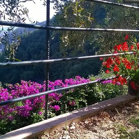 Sopra Il Porto Casa de Férias