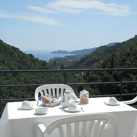 Sopra Il Porto * Rapallo