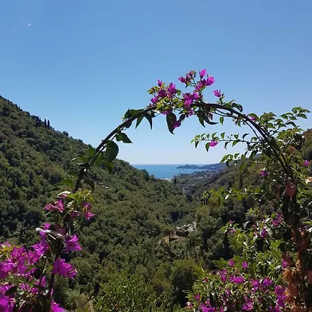 Sopra Il Porto Casa de Férias